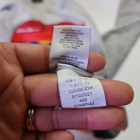 Eddie Bauer Hoodie Boys Large Grey Explore Graphic Print Fleece Pullover - Picture 8 of 10